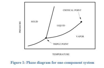 Phase Equilibrium One-Component  System