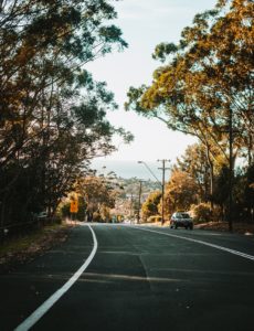 Freshly paved road winding through a forested area on a sunny, autumn day.