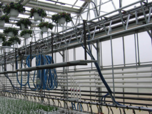 Greenhouse boiler heater unit